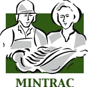 MINTRAC recruitment partners